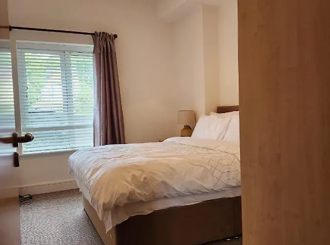 Проживание в семье Our Tiny Little